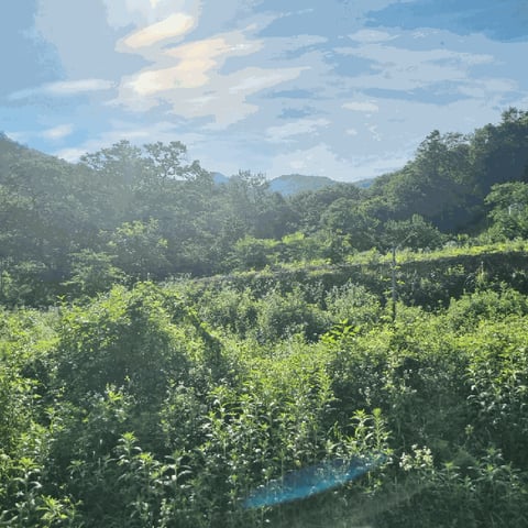 물건 사진 32