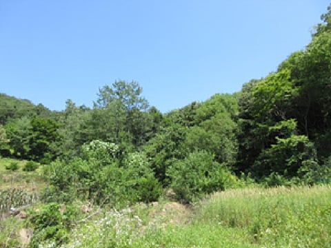 물건 사진 10