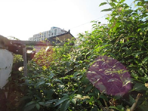 물건 사진 3