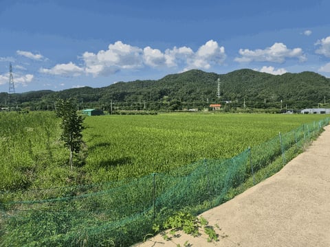 물건 사진 20