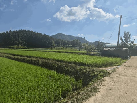 물건 사진 24