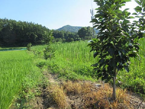 물건 사진 8