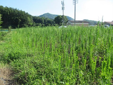 물건 사진 9