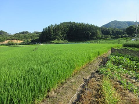 물건 사진 3