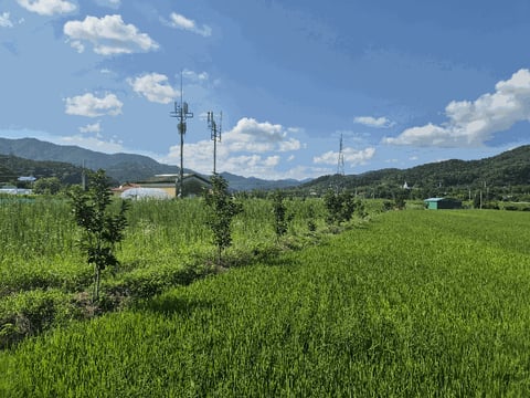 물건 사진 25