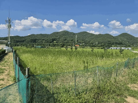 물건 사진 26