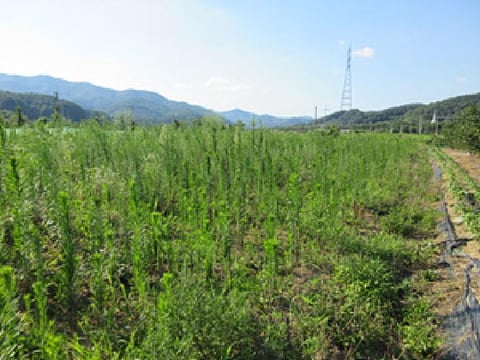 물건 사진 10
