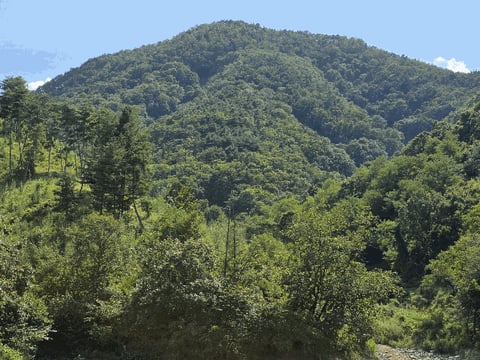 물건 사진 15