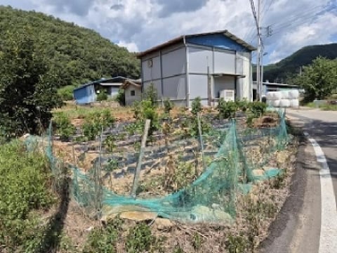 물건 사진 6
