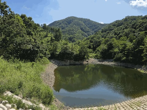 물건 사진 10