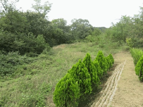 물건 사진 11