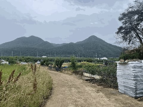 물건 사진 8