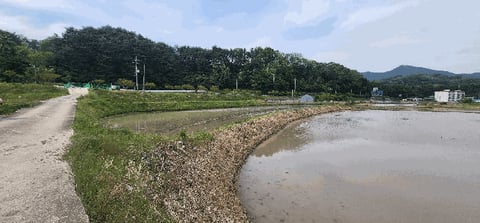 물건 사진 10
