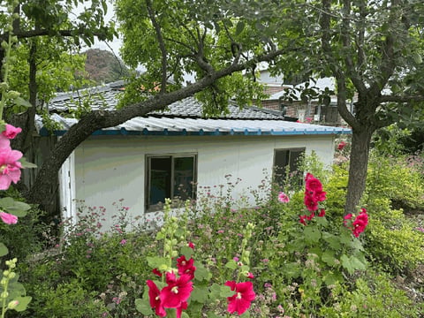 물건 사진 8