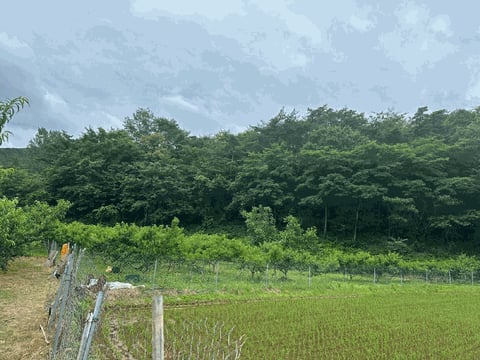 물건 사진 5