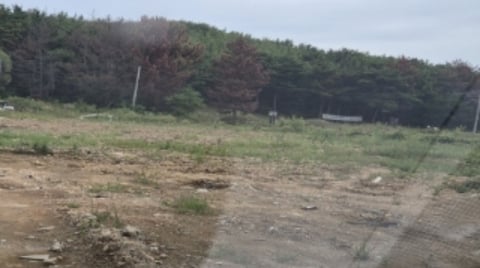 물건 사진 3
