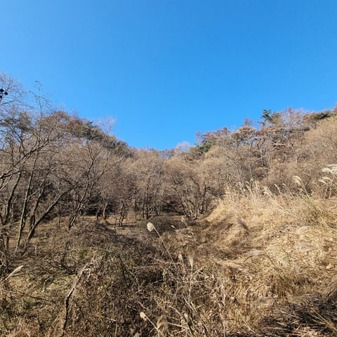 물건 사진 28