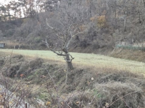 물건 사진 14