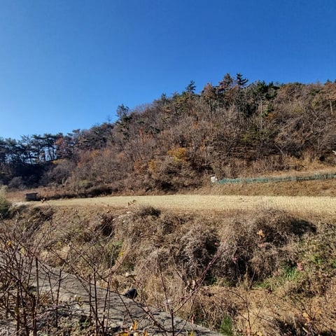물건 사진 24