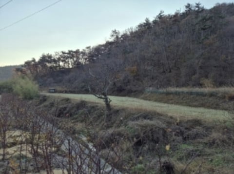 물건 사진 12