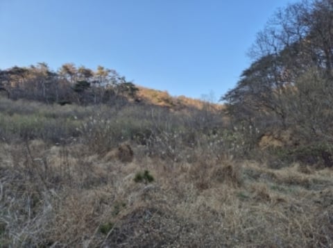 물건 사진 15