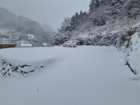 물건 사진 2