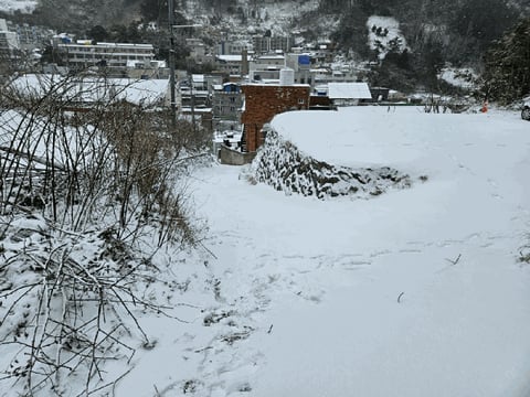 물건 사진 5