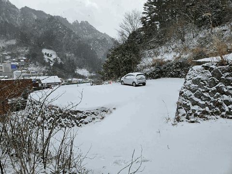 물건 사진 7
