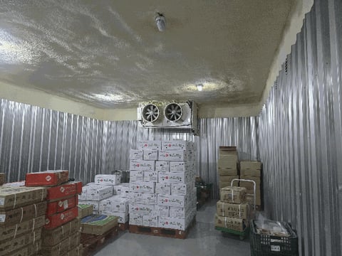 물건 사진 21