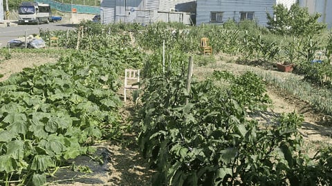 물건 사진 10
