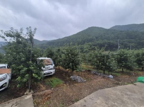 물건 사진 1