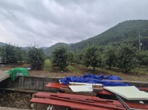 물건 사진 3