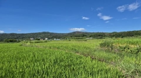 물건 사진 2