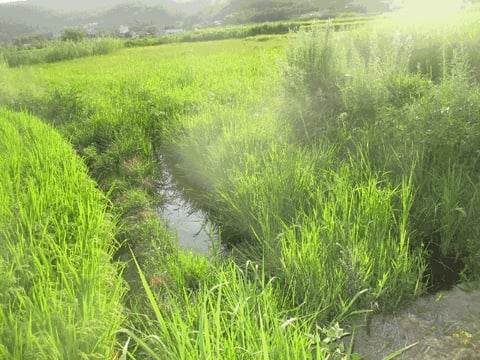 물건 사진 16
