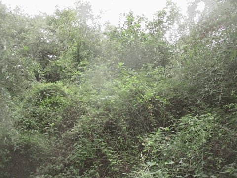 물건 사진 19