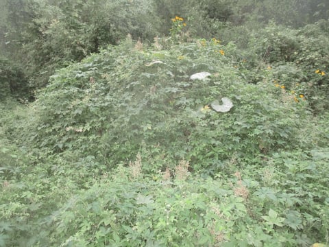 물건 사진 20