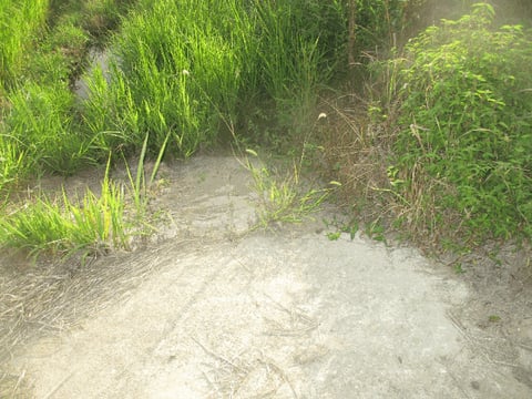 물건 사진 22