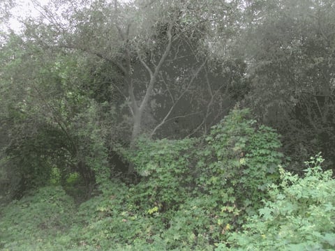 물건 사진 24