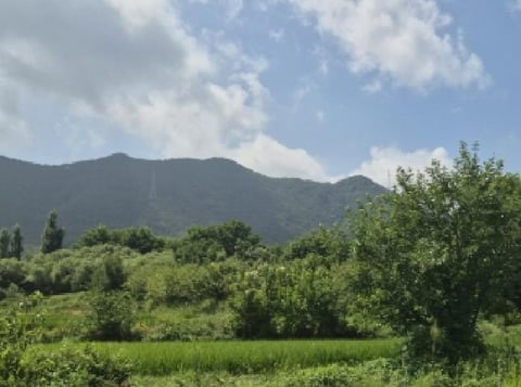 물건 사진 4