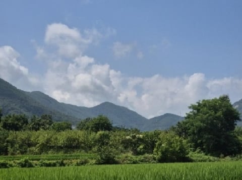 물건 사진 9