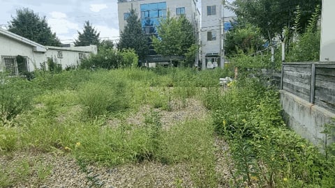 물건 사진 6