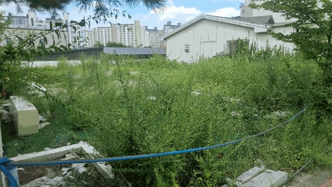 물건 사진 9