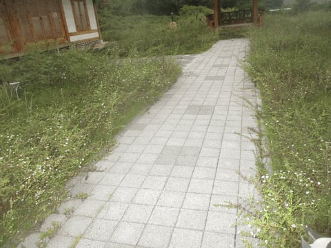 물건 사진 20