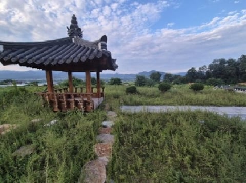 물건 사진 3