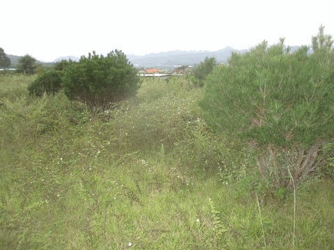 물건 사진 23