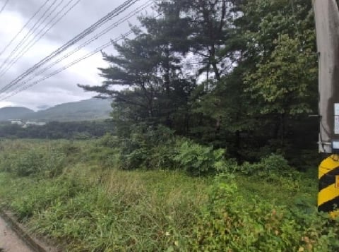 물건 사진 12