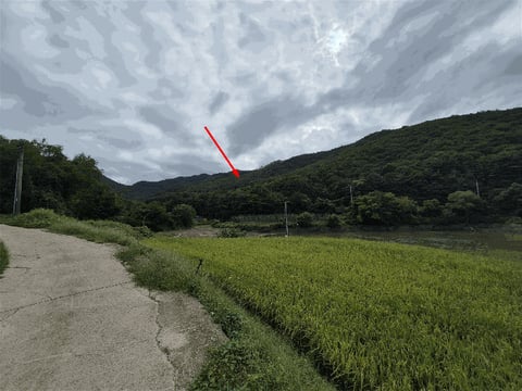 물건 사진 17