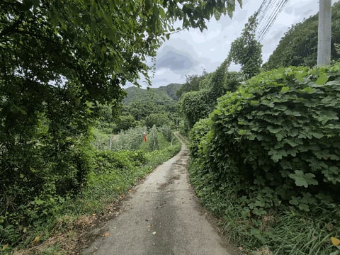 물건 사진 18