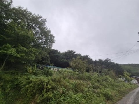 물건 사진 3
