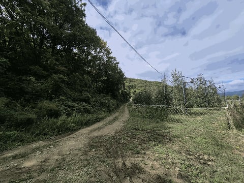 물건 사진 25